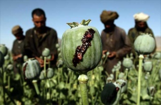 Государства-члены Организации Договора о коллективной безопасности убеждены, что Организация Объединенных Наций должна официально признать глобальный характер угрозы, который несет миру наркоиндустрия в Афганистане