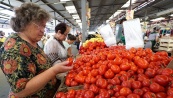 Армения за полгода увеличила экспорт помидоров в Россию в сорок два разa