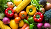 В ЕАЭС упрощены правила перевозки пищевых и непищевых товаров