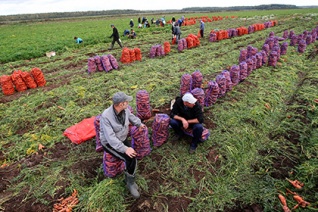 Белоруссия нашла в России «продовольственный клондайк»