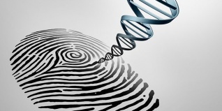 В Союзном государстве появится вторая программа ДНК-идентификации