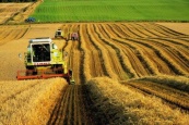ЕЭК совместно с экспертами обсудила вопросы конкурентоспособности агропромышленного комплекса стран ЕАЭС 