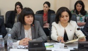 Министр ЕЭК Карине Минасян: «Армения должна работать, продвигаться, отстаивать свои позиции на равных конкурентных условиях с другими странами ЕАЭС»