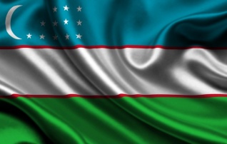 Миссия наблюдателей от СНГ провела ряд встреч в рамках мониторинга президентских выборов в Узбекистане 