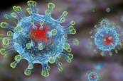 Главные государственные санитарные врачи стран ЕАЭС продолжают мониторинг ситуации в отношении коронавирусной инфекции