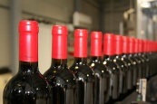 Очередной винзавод Гагаузии получит разрешение на экспорт в РФ