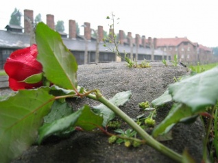 Польша не пригласила Россию на мероприятия в память об освобождении Освенцима
