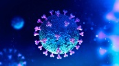 ЕЭК публикует мониторинг мер по преодолению последствий распространения коронавируса в странах ЕАЭС