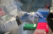 Учёные Союзного государства планируют продолжить программу «ДНК-индектификация»
