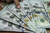 СМИ сообщили о планах правительства РФ отвязать экономику от доллара