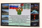 Таможенные службы России и Абхазии обсудили вопросы сотрудничества