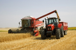 Беларусь будет сотрудничать с Азербайджаном в сфере сельского хозяйства