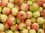 Россельхознадзор возобновил переговоры с Молдавией о снятии эмбарго на молдавские яблоки