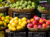 Узбекистан и Россия создадут «зеленый коридор» для экспорта фруктов 