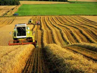 Семен Шапиро: «Сельскохозяйственные отрасли в Беларуси и России очень похожи»