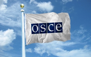 Россия призвала ОБСЕ взять под контроль ситуацию с русским языком на Украине