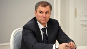 Вячеслав Володин предложил парламентариям Узбекистана стать наблюдателями в ПА ОДКБ