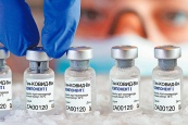 Россия и ДНР договорились о поставках вакцины от COVID