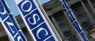 Страны СНГ заявили в ОБСЕ о необходимости противостоять возрождению нацизма