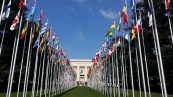 Международный совет соотечественников призвал СПЧ ООН остановить русофобию