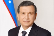 Президент Узбекистана обсудил с Владимиром Путиным углубление двустороннего сотрудничества