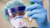 Россия направила в страны ЕАЭС и СНГ средства диагностики коронавируса