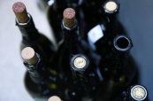 Вино и фрукты из Молдавии будут ввозить в Россию без пошлин