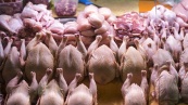 Россия сняла ограничения на транзит мяса птицы в Казахстан