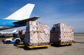 МЧС России направило в Кыргызстан более 40 тонн гуманитарной помощи