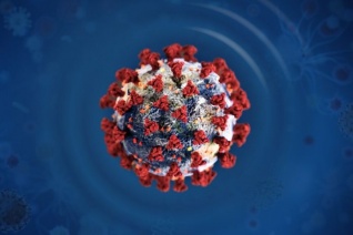 Страны ЕАЭС согласовали проект действий по профилактике коронавируса