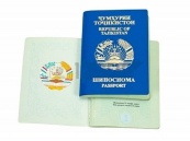 Жителям Таджикистана для поездок в Россию теперь потребуется загранпаспорт