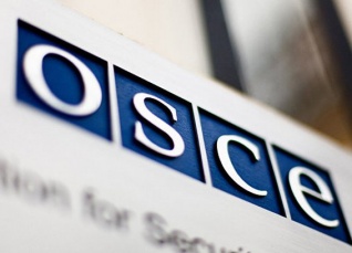 Россия обратилась в ОБСЕ с призывом расследовать нападение радикалов на русских детей
