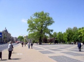 Памятник Неизвестному солдату временно вернулся на Литовскую площадь польского Люблина