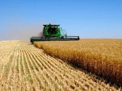 Армения ратифицировала соглашение по производству и поставкам семян в рамках СНГ 