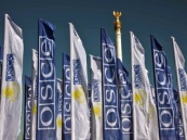 На Украине начала работу миссия ОБСЕ по наблюдению за выборами
