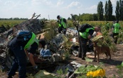 Нидерланды приостанавливают поисковые работы на месте крушения Boeing на Украине