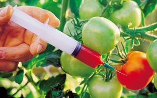 Маркировка продуктов с ГМО в странах ЕАЭС с 26 декабря становится обязательной