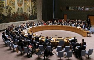 Председатель СБ ООН: совет в течение месяца может провести встречу по Украине