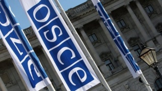 РФ подготовит проект документа ОБСЕ по противодействию неонацизму