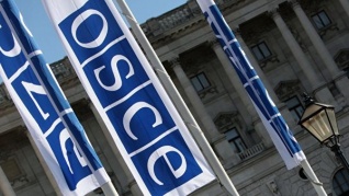 Россия не признала Люксембургскую декларацию ПА ОБСЕ